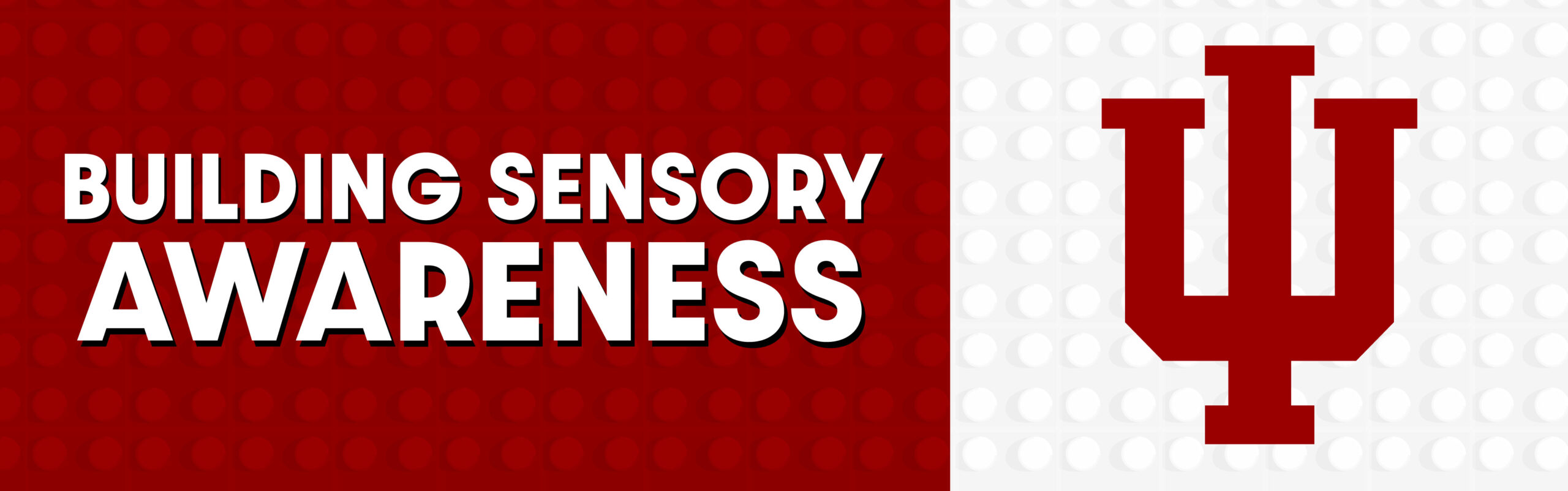 Building Sensory Awareness