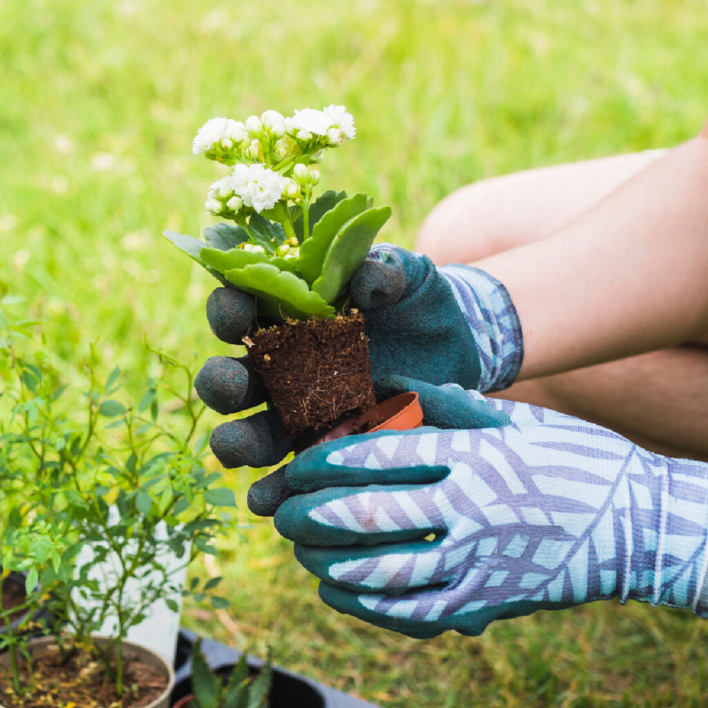 someone gardening